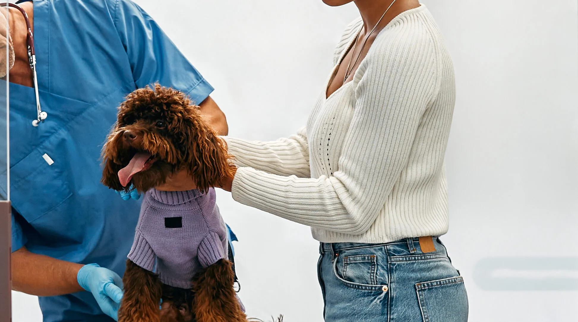 AS GENUINE PET-FRIENDLY RESIDENCES IN BANGKOK, SCOPE IS HOSTING A SPECIAL PET HEALTH CHECKUP IN SEPTEMBER. BRING YOUR FURRY FRIENDS FOR A HEALTH ASSESSMENT BY PROFESSIONAL VETERINARIANS.