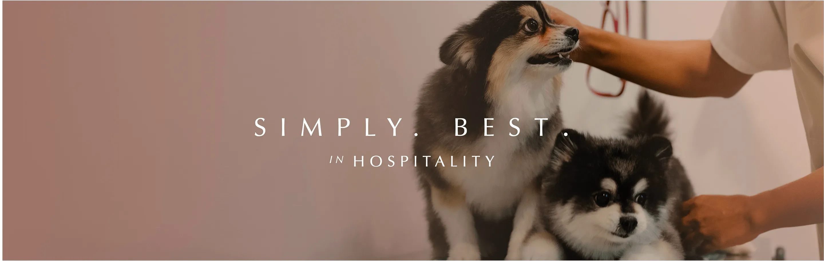 บริการดูแลสัตว์เลี้ยง (In-house Pet Care) สำหรับลูกบ้าน SCOPE Promsri คอนโด low rise ที่เป็นมิตรกับสัตว์